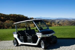 Roma: Tour della città imperiale in golf cart con trasferimento opzionale