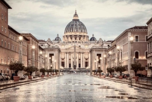 Roma en 2 días Tour privado con chófer privado