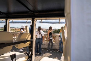 Rome in golfkar: een halve dag privé of kleine groepstour