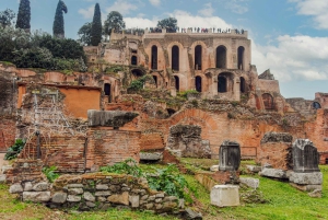 Rooma: Roomassa: Johdatus Colosseumiin ja antiikin kaupunkikierros.