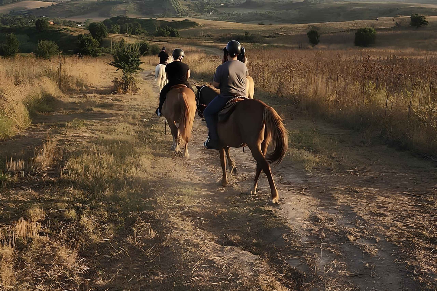 Roma: escursione a cavallo con guida sul Lago di Martignano
