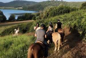 Roma: escursione a cavallo con guida sul Lago di Martignano