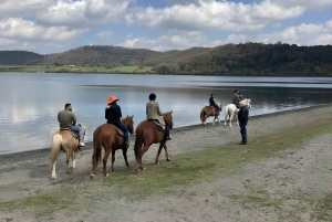 Roma: escursione a cavallo con guida sul Lago di Martignano