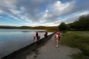 Roma: escursione a cavallo con guida sul Lago di Martignano