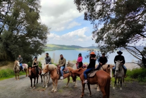 Roma: escursione a cavallo con guida sul Lago di Martignano