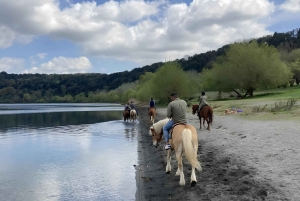 Roma: escursione a cavallo con guida sul Lago di Martignano