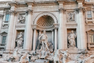 Roma: Transfer privato dall'aeroporto Leonardo da Vinci FCO a Roma