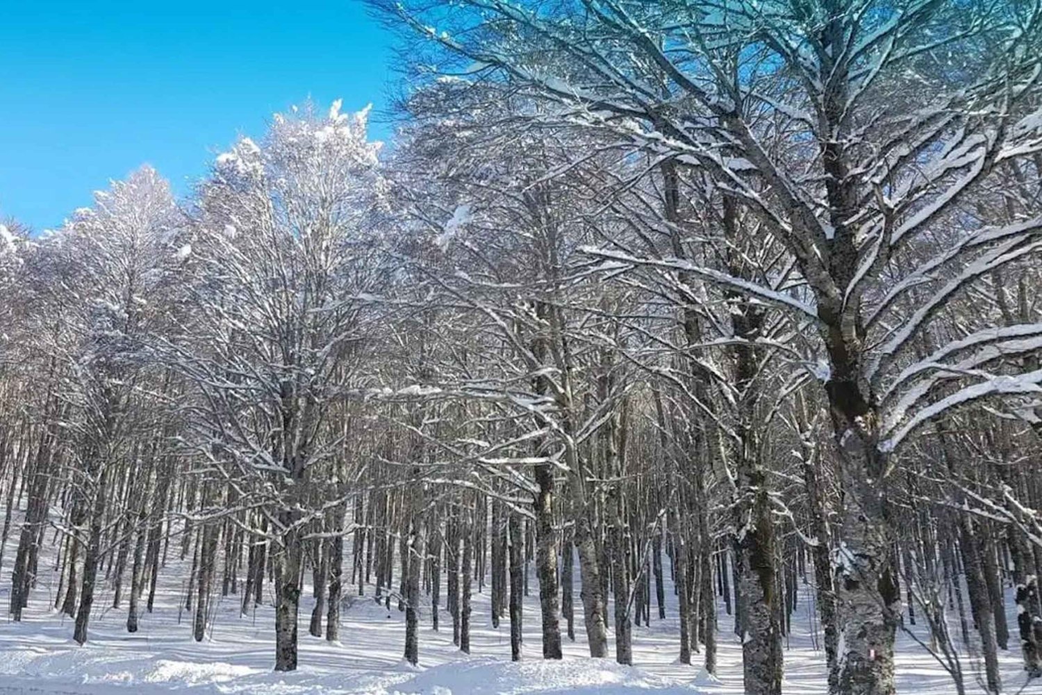 Roma: gita di 1 giorno a Monte Livata con pranzo e trasferimento