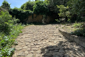 Rome: Monte Mario Guided Hiking Tour