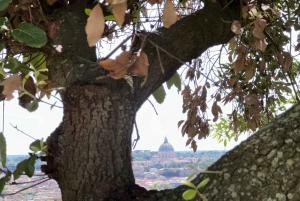 Rome: Monte Mario Guided Hiking Tour