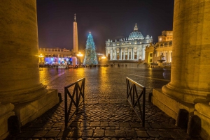Rome: Nighttime Private Sightseeing Tour
