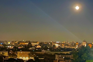 Rome: Nighttime Private Sightseeing Tour