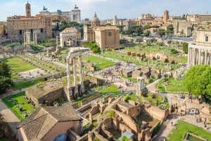 Rooma: Virallinen Colosseum-, Forum Romanum- ja Palatine Hill -kierros