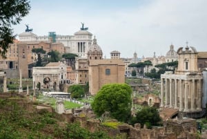 Rooma: Virallinen Colosseum-, Forum Romanum- ja Palatine Hill -kierros