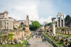 Rooma: Virallinen Colosseum-, Forum Romanum- ja Palatine Hill -kierros