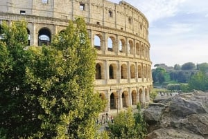 Rooma: Virallinen Colosseum-, Forum Romanum- ja Palatine Hill -kierros