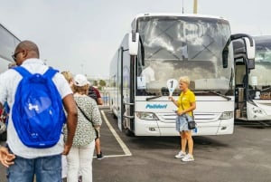 Roma på egen hånd: Busstransport fra Civitavecchia
