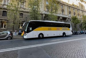 Rome: Civitavecchia Port to/from Vatican City Bus Transfer
