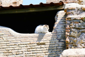 Roma: Ostia Antica: ingresso sem fila e opção de visita