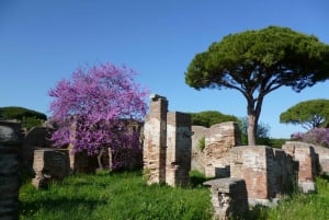 Rom: Ostia Antica-tur fra Rom