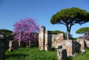 Rooma: Ostia Antica Tour Roomasta