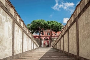 Rome : Palazzo Barberini & Galleria Corsini Ticket & Pemcards