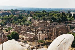 Roma: Biglietto panoramico per l'ascensore di vetro con app audio