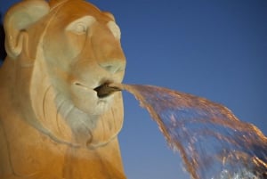 Rome: Piazzas and Fountains Sunset Tour with Aperitivo