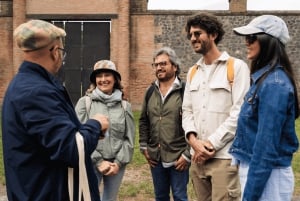 Rooma: Pompeji ja Napoli suurnopeusjunalla, päiväreissu lounaalla