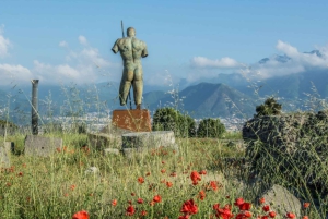Rom: Pompeji og Napoli på dagsudflugt med højhastighedstog og frokost