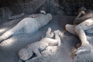 Rom: Pompeji og Napoli på dagsudflugt med højhastighedstog og frokost