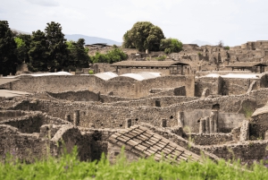 Rom: Pompeji og Napoli på dagsudflugt med højhastighedstog og frokost