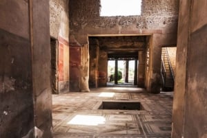 Rome: Pompeii Tour with Wine and Lunch by High Speed Train