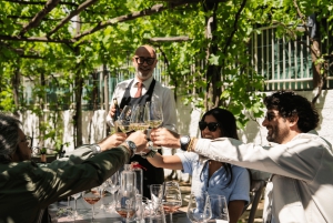 Roma: Tour di Pompei con vino e pranzo in treno ad alta velocità