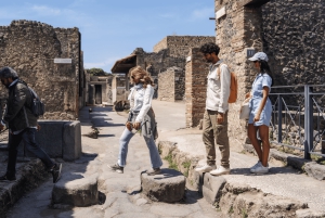 Roma: Tour di Pompei con vino e pranzo in treno ad alta velocità