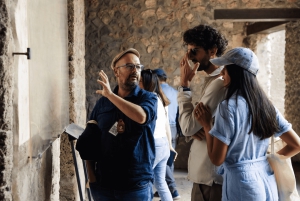 Roma: Tour di Pompei con vino e pranzo in treno ad alta velocità