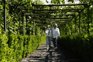 Roma: Tour di Pompei con vino e pranzo in treno ad alta velocità