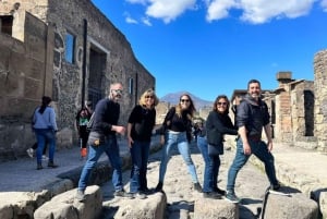 Roma: Tour di Pompei con vino e pranzo in treno ad alta velocità