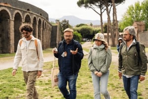 Roma: Tour di Pompei con vino e pranzo in treno ad alta velocità
