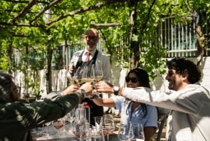 Roma: Tour di Pompei con vino e pranzo in treno ad alta velocità