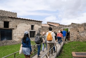 Roma: Tour di Pompei con vino e pranzo in treno ad alta velocità