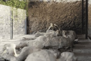 Roma: Tour di Pompei con vino e pranzo in treno ad alta velocità