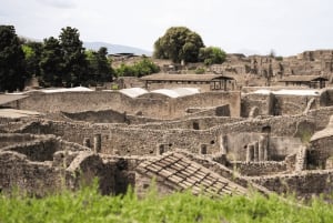 Roma: Tour di Pompei con vino e pranzo in treno ad alta velocità