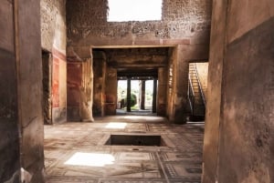 Roma: Tour di Pompei con vino e pranzo in treno ad alta velocità