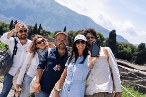 Roma: Tour di Pompei con vino e pranzo in treno ad alta velocità