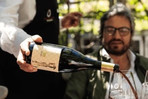 Roma: Tour di Pompei con vino e pranzo in treno ad alta velocità