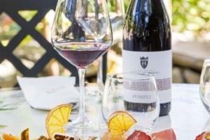 Roma: Tour di Pompei con vino e pranzo in treno ad alta velocità