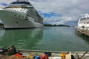 Rome Pre-Post Cruise Transfer plus Tours of Rome