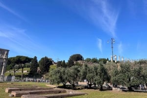 Rom: Bevorzugter Zugang zum Kolosseum, Forum Romanum und Palatin Tour