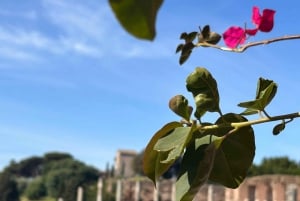 Rom: Bevorzugter Zugang zum Kolosseum, Forum Romanum und Palatin Tour